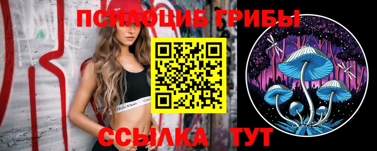 купить  сайты  Вход с VPN  Россошь  Псилоцибиновые грибы мухоморы 